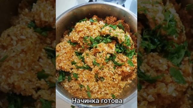 Приключения на Природе