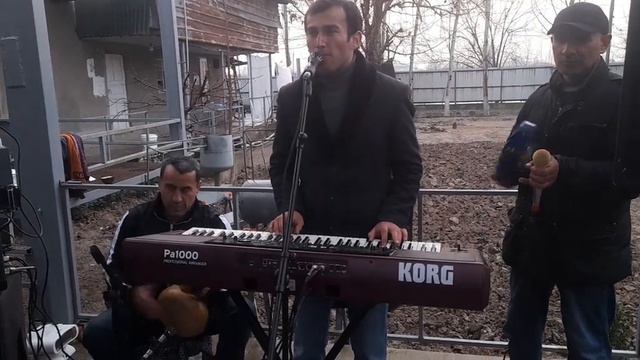 Туй дар деҳаи дарёбод 31 12 2022 Мубасир. смотреть онлайн