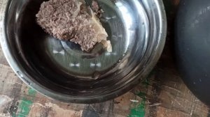 Как кормить двухмесячного щенка немецкой овчарки.