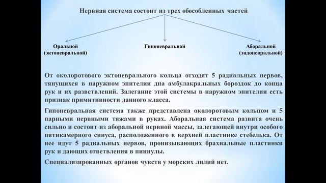 Животные (Часть 73) - Класс Морские Лиии смотреть онлайн