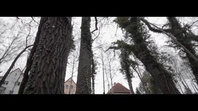 Winterview (TEST-VIDEO WITH EOS 60D + Velbon C-400 ) смотреть онлайн
