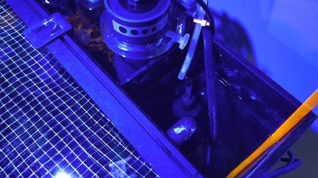 Auqa Shield Universal UV-Sterilizer 10W for my AIO Waterbox! смотреть онлайн