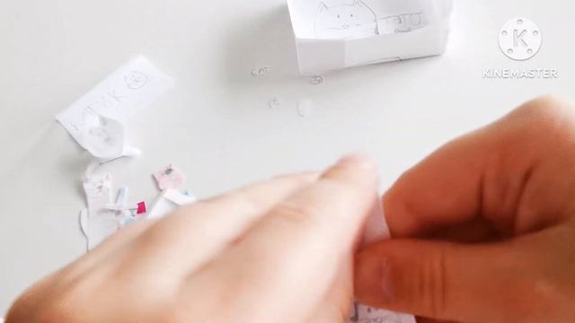 Большая РАСПАКОВКА кошачих СЮРПРИЗОВ ??? кошки и коты ПУШИСТИКИ