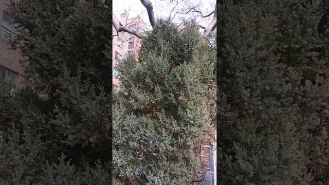 Одесса, Трамвай, Фристайл, Нью Йоркское Метро, итд. смотреть онлайн