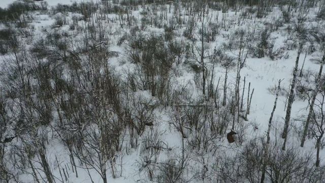 День жизни священника. Пятница и лоси в лесе. смотреть онлайн