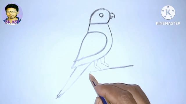 How to draw a bird by number 5.step by step. смотреть онлайн