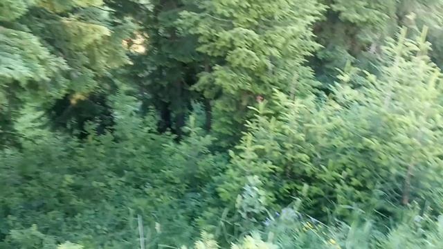 Жизнь в деревне. Ремонт школы. Красивый вид на речку. смотреть онлайн