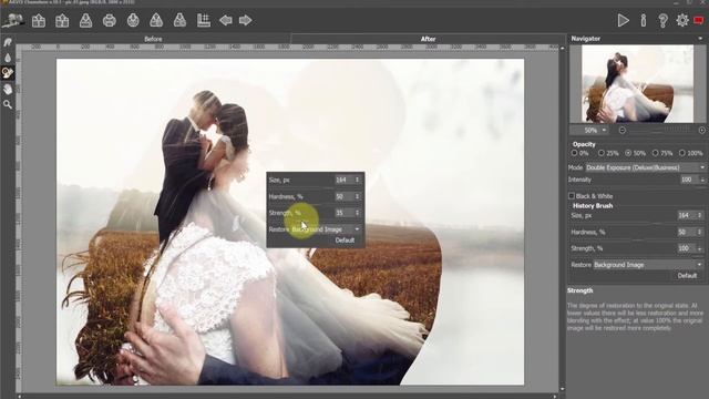 Wedding Photo with Double Exposure Effect - AKVIS Chameleon смотреть онлайн