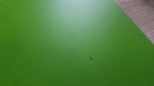 Можно ли красить ламинированную фанеру