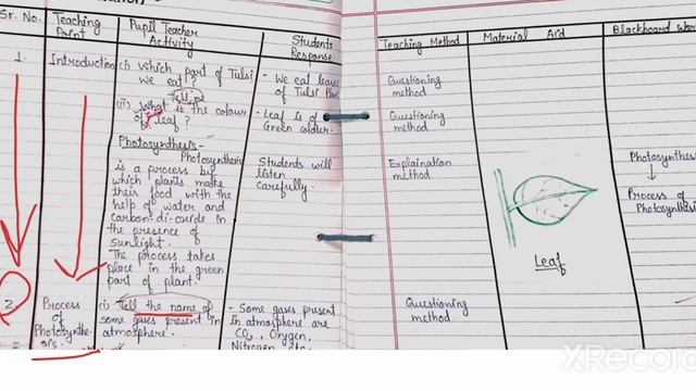 photosynthesis easy Lesson plan for B.Ed. & B.El.Ed. смотреть онлайн