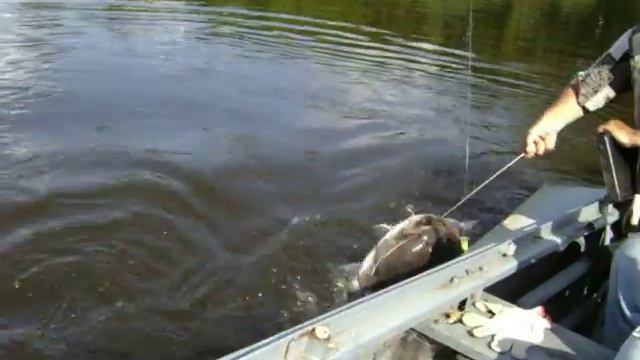 Рібалка на Десне смотреть онлайн