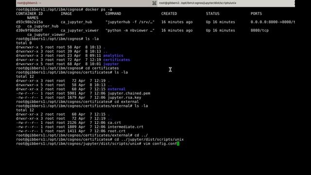 Cognos Notebooks install - Part 2 (Securing the Jupyter Server) смотреть онлайн
