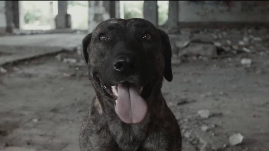 X-TREAM Dance Club смотреть онлайн