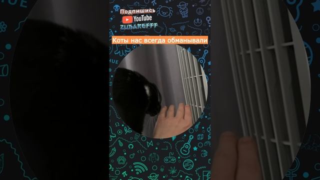 Почему коты облизывают нас | мемы | приколы от Зубарев #юмор #китай #shorts @zubarefff смотреть онлайн