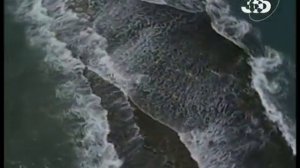 Существовала ли Атлантида? Тайна гибели Атлантиды.