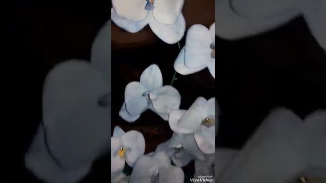 Большие орхидеи из Фома смотреть онлайн