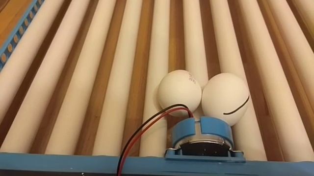 Роликовая система поворота яиц в процессе инкубации. Для инкубатора. смотреть онлайн