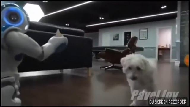 Тест на психику, кто засмеётся тот псих!!! смотреть онлайн