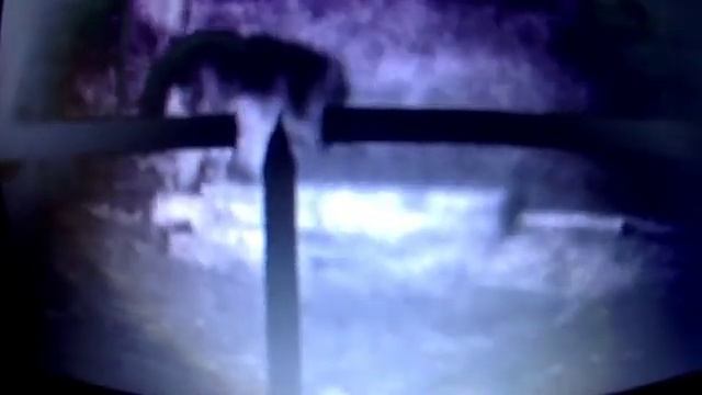 БЮДЖЕТНЫЙ прибор ночного видения#Бюджетный ночной прибор#ПНВ для охоты смотреть онлайн