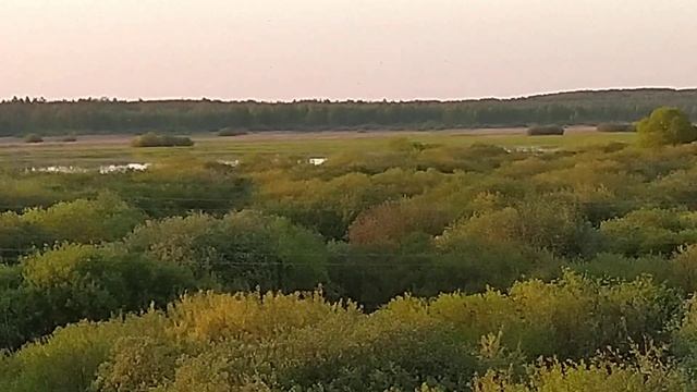 Ветьма вышла из берегов ,из за дождей разлив в мае смотреть онлайн
