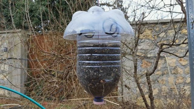 Кормушка для синиц из 6 л банки и части 30 л пивной кеги. 2023.01.05 смотреть онлайн