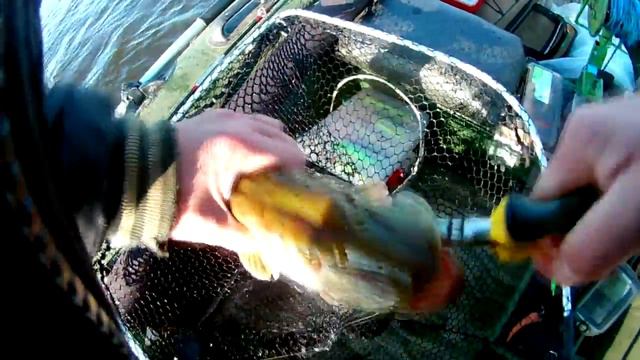 ОБЫЧНАЯ РЫБАЛКА,С ОБЫЧНОЙ КОНЦОВКОЙ смотреть онлайн