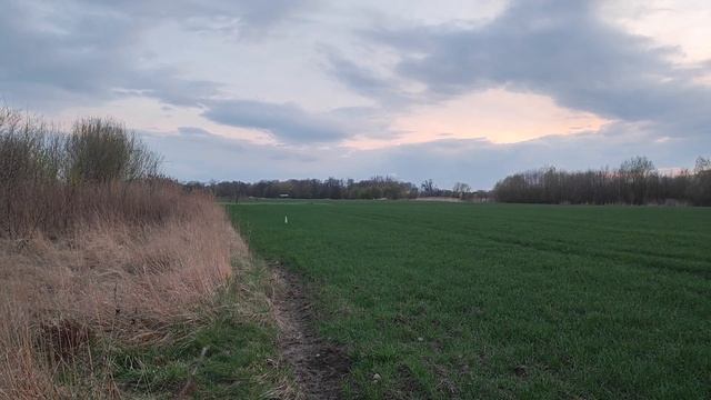 Cколько сможет поднять квадрокоптер fimi x8se 2022 смотреть онлайн