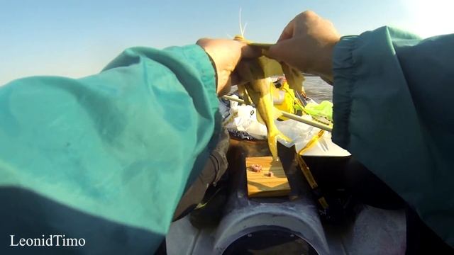 Рыбалка на каяке. Пимелодовые или плоскоголовые сомы и белые сомы. смотреть онлайн