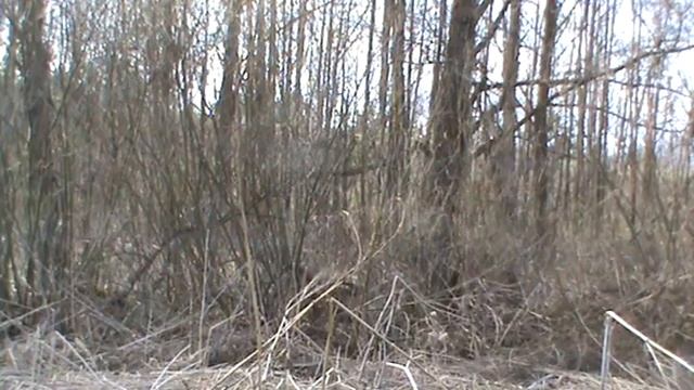 ловля соловья 03 05 15 смотреть онлайн