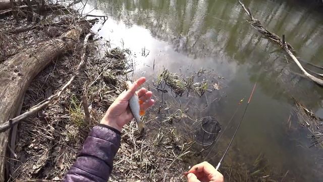 ВЕСЕННЯЯ РЫБАЛКА НА ПОПЛАВОК! Рыбалка на поплавок в апреле! смотреть онлайн