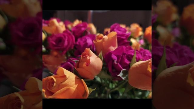 Пиратская жизнь Нина и Вовчик - не мужик, а мебель | Сплетница