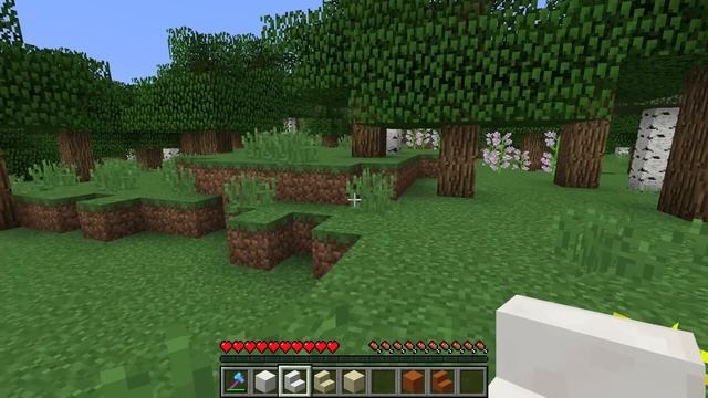 Rare Minecraft Textures for Building смотреть онлайн