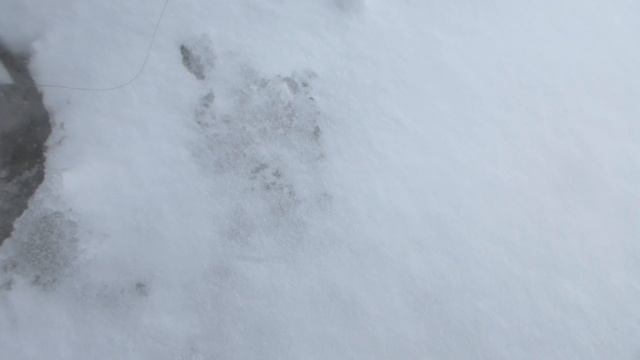 март жерлицы 2017 смотреть онлайн