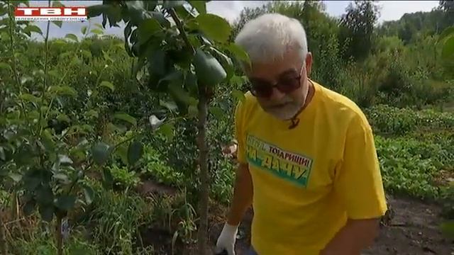 Вперед, товарищи! На дачу! Выпуск 17.08.21 г. смотреть онлайн