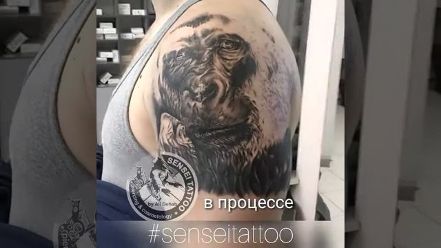Процесс перекрытия старой татуировки работой в стиле реализм смотреть онлайн