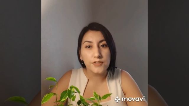 Чтоб стали мы мудрее... Автор Ирина Самарина Читает Динара Терехова смотреть онлайн