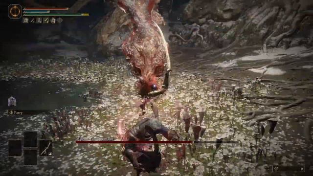 Malenia's Former Master No Hits Her - Flowing Curved Sword, 5 Parry Frames, Aggressive смотреть онлайн