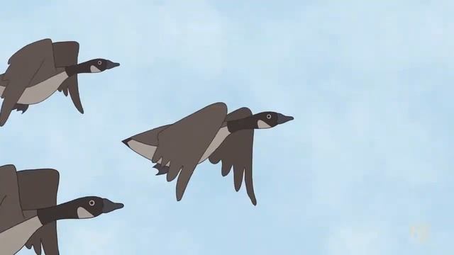The Places Where We Live - Hudson Geese | Cake | FXX смотреть онлайн