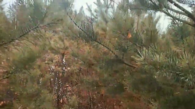 Перезагрузка... 27.10.19 смотреть онлайн