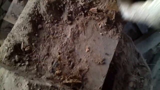 Закладные монеты! Поиск монет в доме. Нашли монеты под матицей! смотреть онлайн