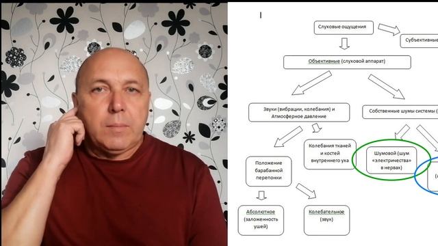 Тиннитус. Шум в ушах, голове. Классификация тиннитусов. Дексаметазон и тиннитус. смотреть онлайн