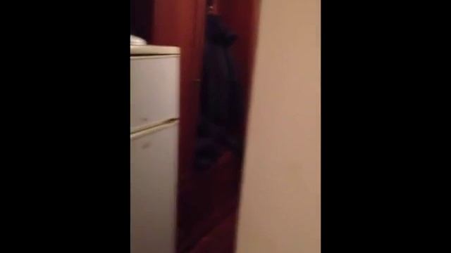 Новогодние развлечения смотреть онлайн