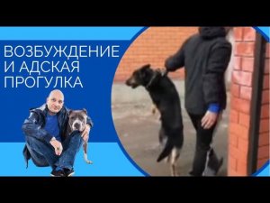 Возбуждение и адская прогулка (Онлайн консультация)