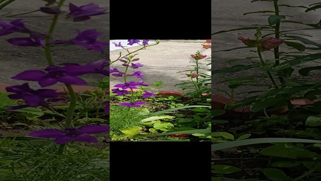 VID_20230603_133944.mp4 смотреть онлайн