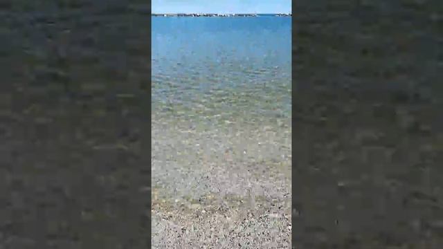 Igea marina mare смотреть онлайн