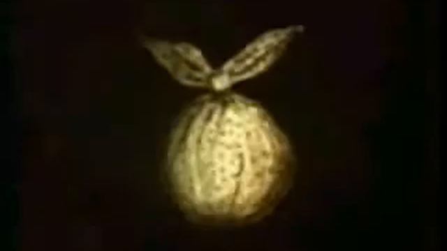 Ёжик в тумане - Йожик в кумаре.avi смотреть онлайн