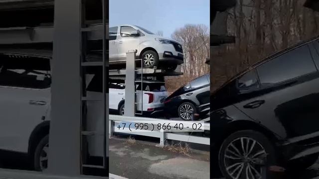 Отправляем автомобили во Владивосток.За неделю выкуплено более 20ти машин! #kia #hyundai #bmw #audi смотреть онлайн