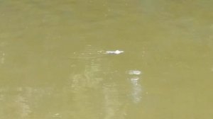 Рыбалка в Шатуре на канале. Прогулка у речки Нерская.