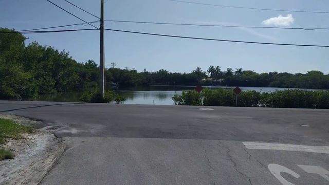 Мудак 99%. Озеро на прямую впадает в мексиканский залив. смотреть онлайн