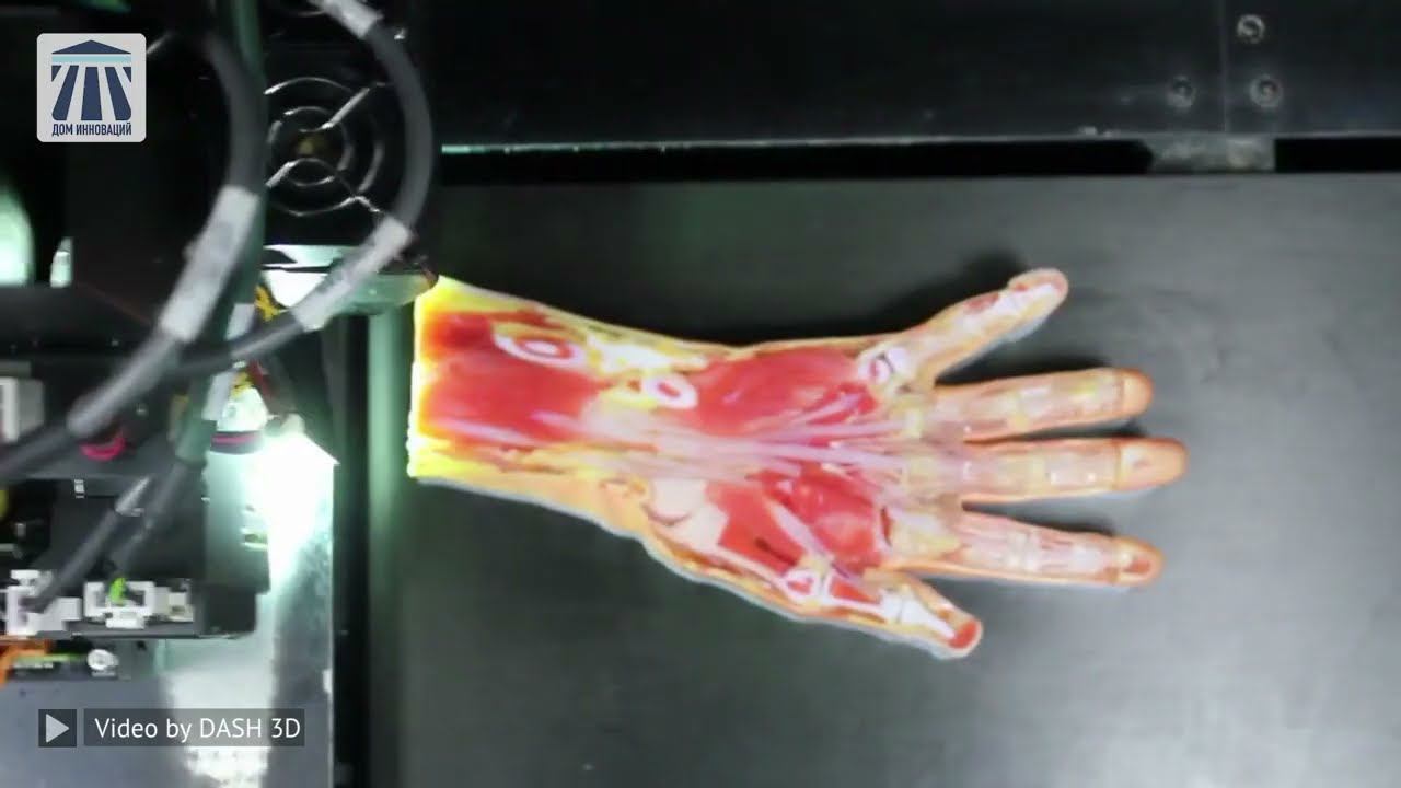 61 Innovation From DASH 3D (House Of Innovation)